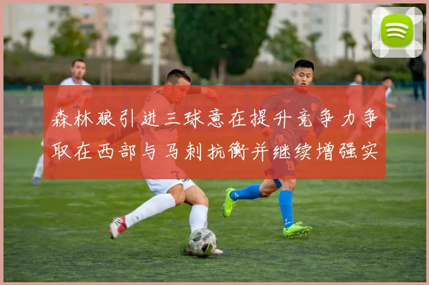 森林狼引进三球意在提升竞争力争取在西部与马刺抗衡并继续增强实力